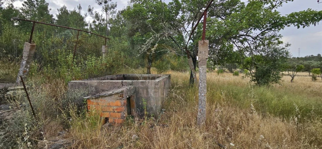 Terreno para Venda em Sarnadas de Rodão Foto 6