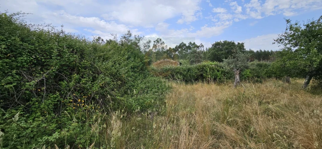 Terreno para Venda em Sarnadas de Rodão Foto 4