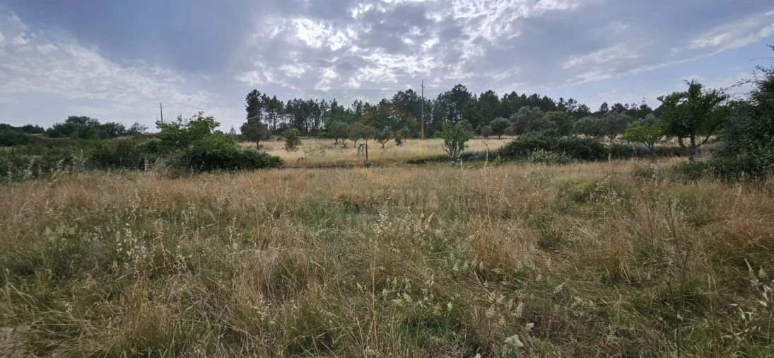 Terreno para Venda em Sarnadas de Rodão Foto 12