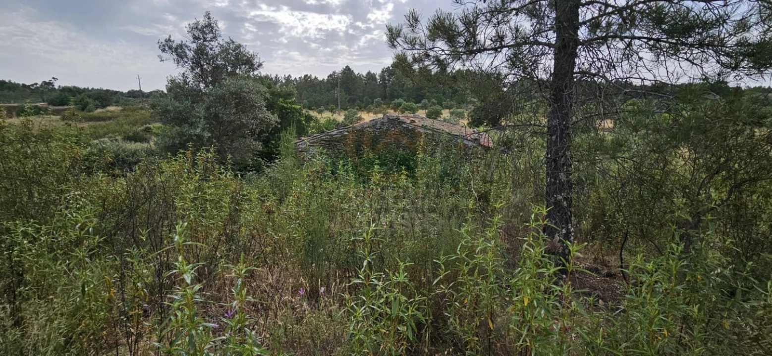 Terreno para Venda em Sarnadas de Rodão Foto 11