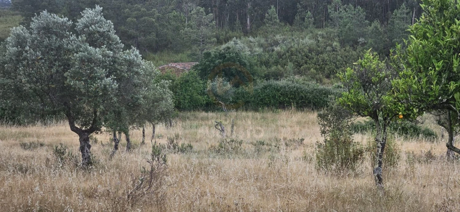 Terreno para Venda em Sarnadas de Rodão Foto 10