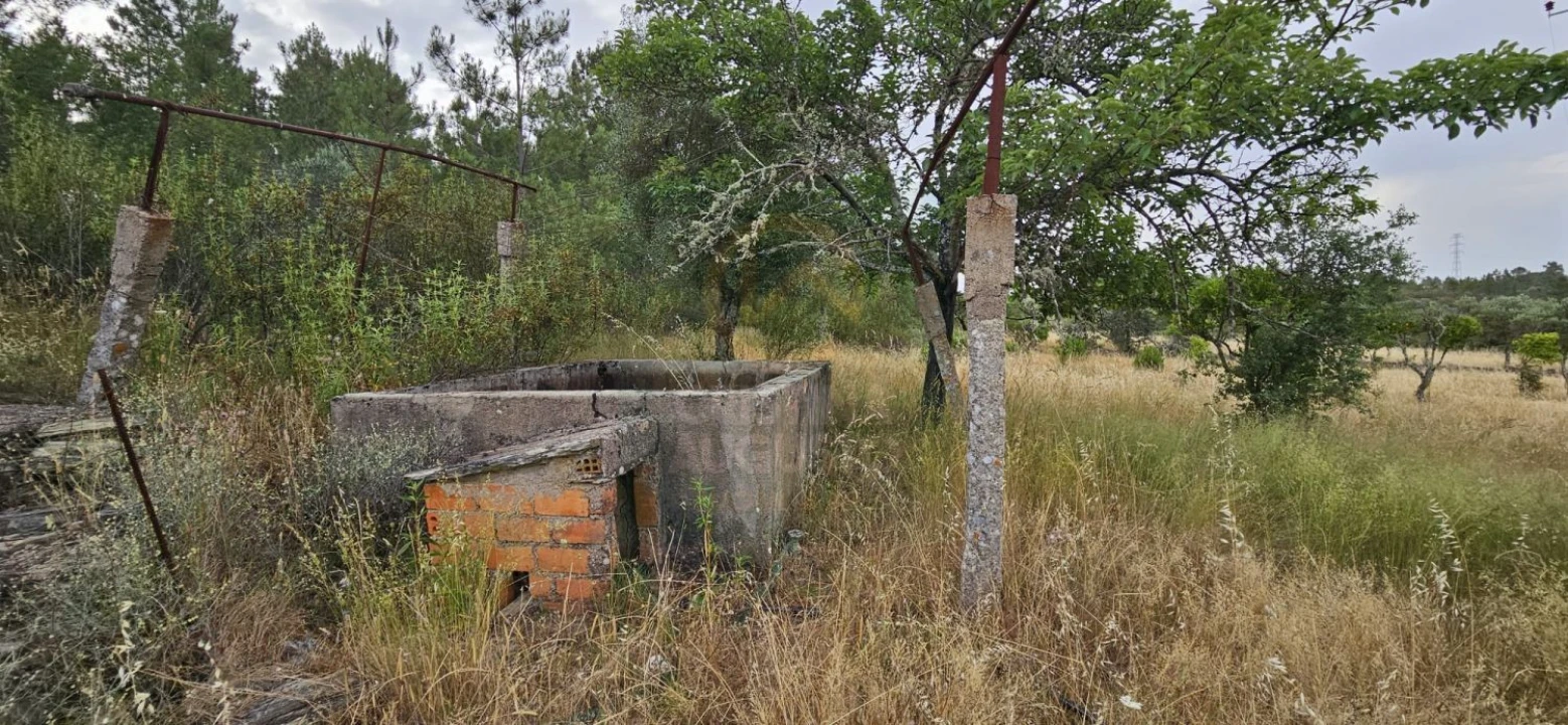 Terreno para Venda em Sarnadas de Rodão Foto 6