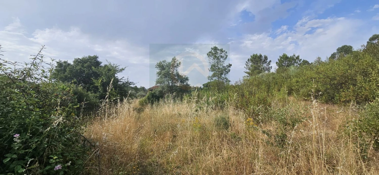 Terreno para Venda em Sarnadas de Rodão Foto 3