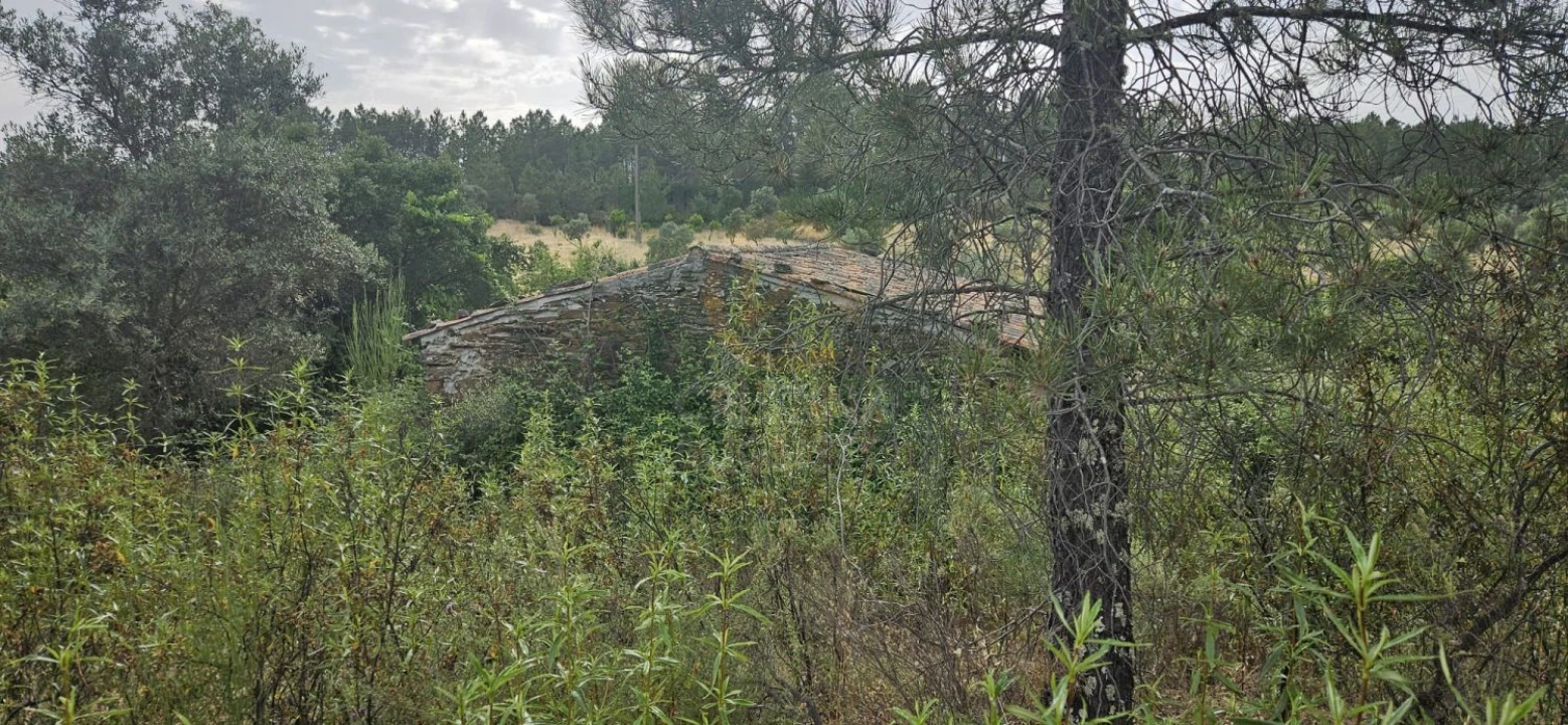 Terreno para Venda em Sarnadas de Rodão Foto 16