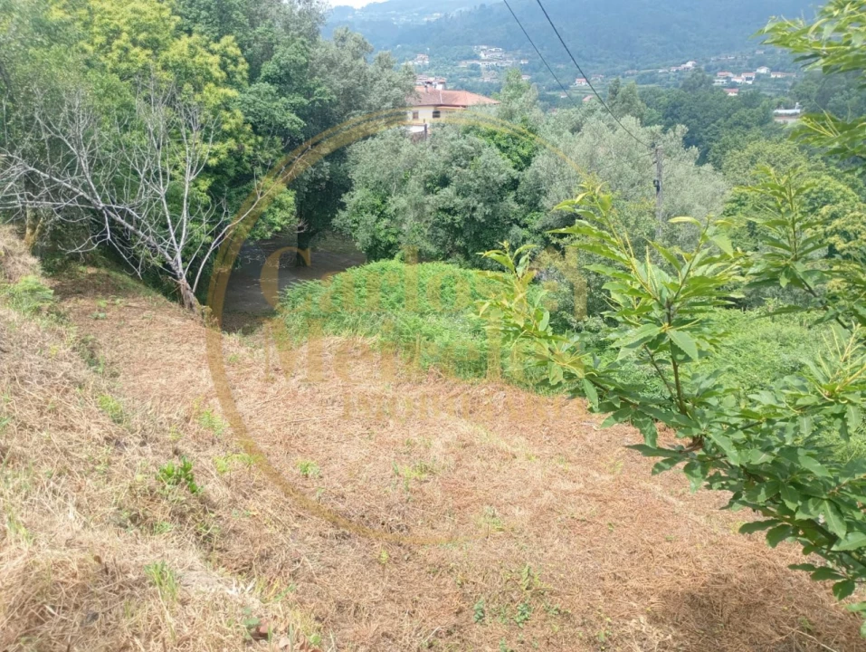 Terreno para Venda em Ribeira do Neiva Foto 1