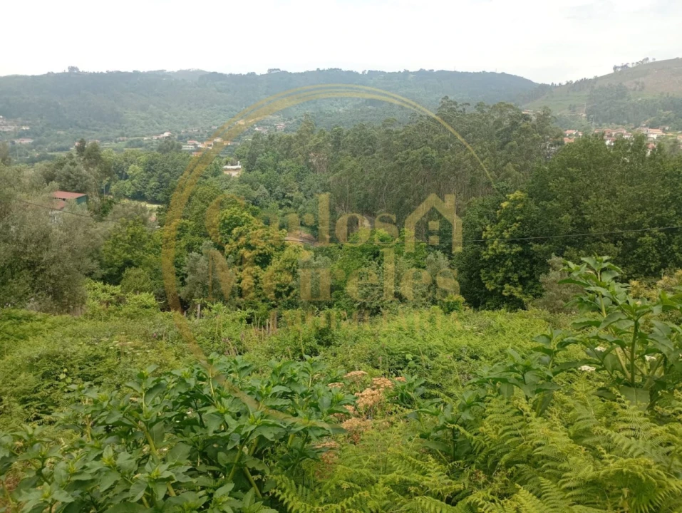 Terreno para Venda em Ribeira do Neiva Foto 3