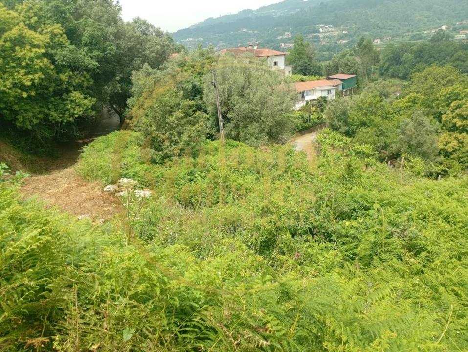 Terreno para Venda em Ribeira do Neiva Foto 6