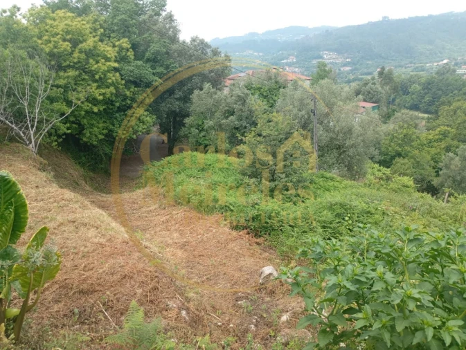Terreno para Venda em Ribeira do Neiva Foto 2
