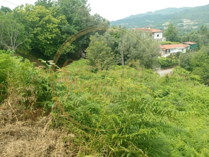 Terreno para Venda em Ribeira do Neiva Foto 4