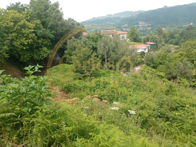 Terreno para Venda em Ribeira do Neiva Foto 7