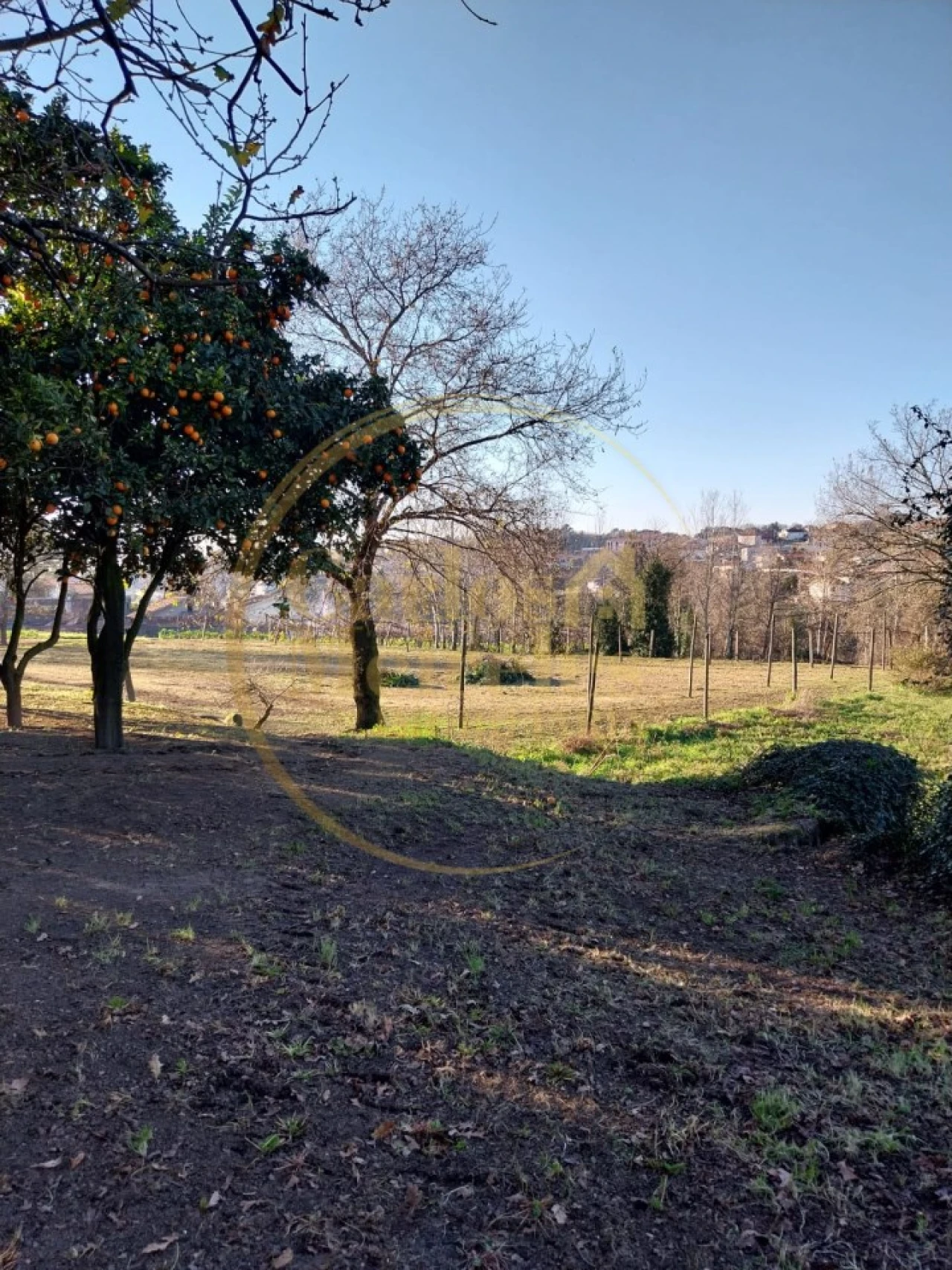 Terreno para Venda em Riba de Ave Foto 13