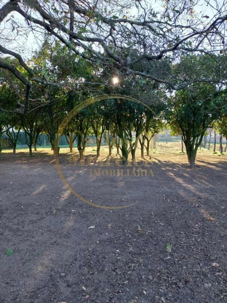 Terreno para Venda em Riba de Ave Foto 12