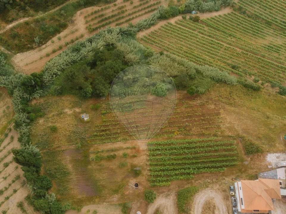 Terreno para Venda em Azueira e Sobral da Abelheira Foto 5