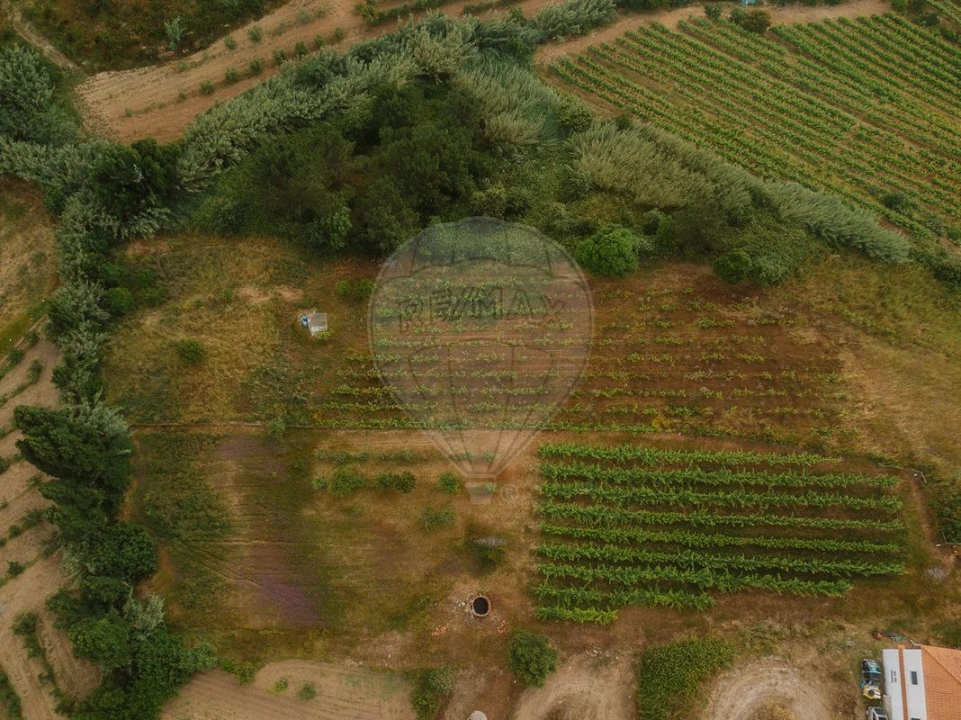 Terreno para Venda em Azueira e Sobral da Abelheira Foto 7