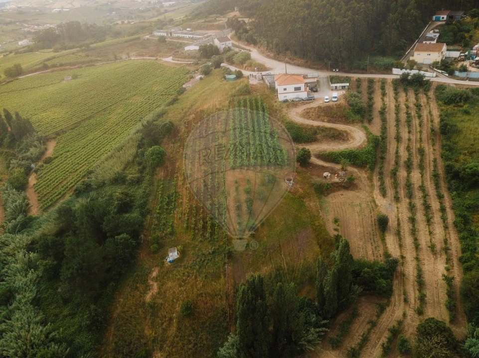 Terreno para Venda em Azueira e Sobral da Abelheira Foto 8