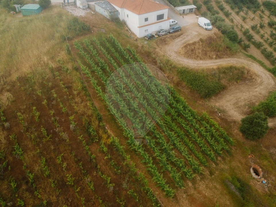 Terreno para Venda em Azueira e Sobral da Abelheira Foto 4