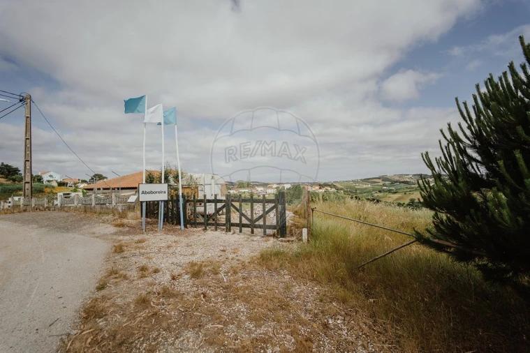 Terreno para Venda em Azueira e Sobral da Abelheira