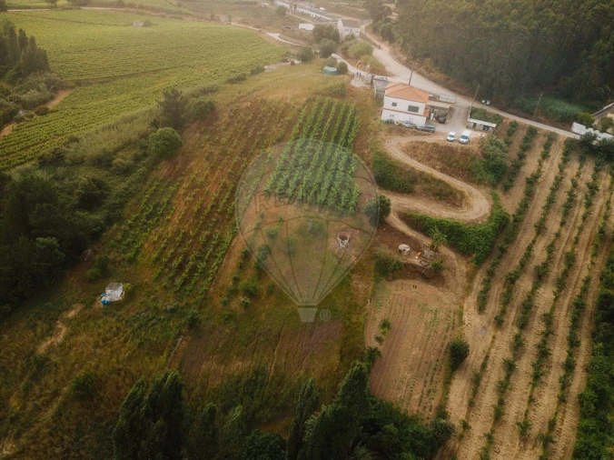 Terreno para Venda em Azueira e Sobral da Abelheira Foto 9