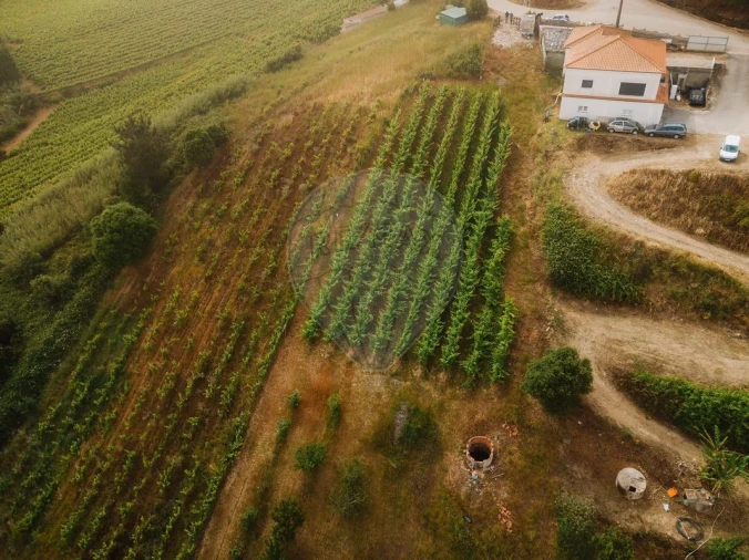 Terreno para Venda em Azueira e Sobral da Abelheira Foto 13