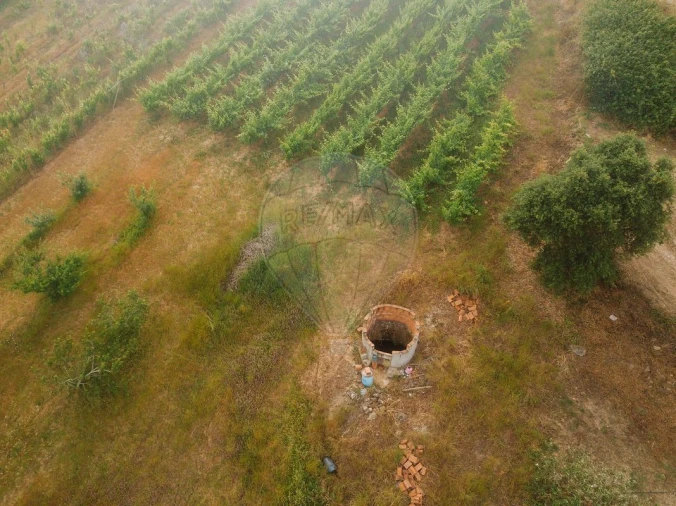 Terreno para Venda em Azueira e Sobral da Abelheira Foto 11