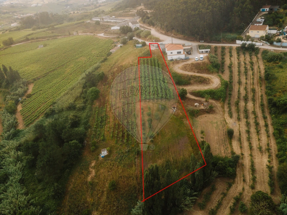 Terreno para Venda em Azueira e Sobral da Abelheira Foto 3