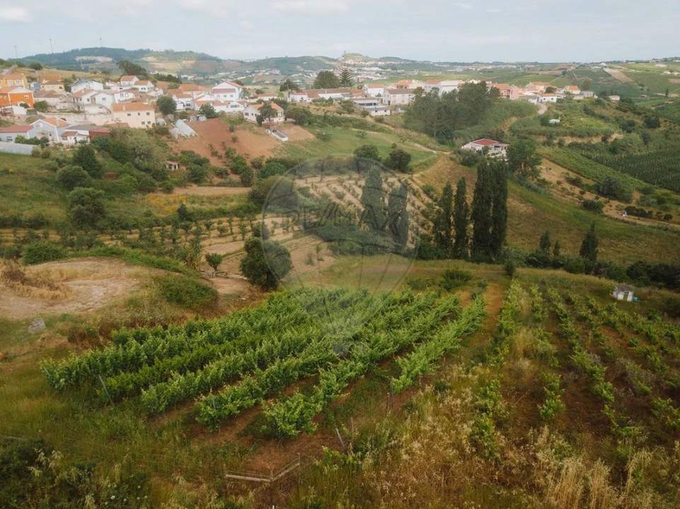 Terreno para Venda em Azueira e Sobral da Abelheira Foto 10
