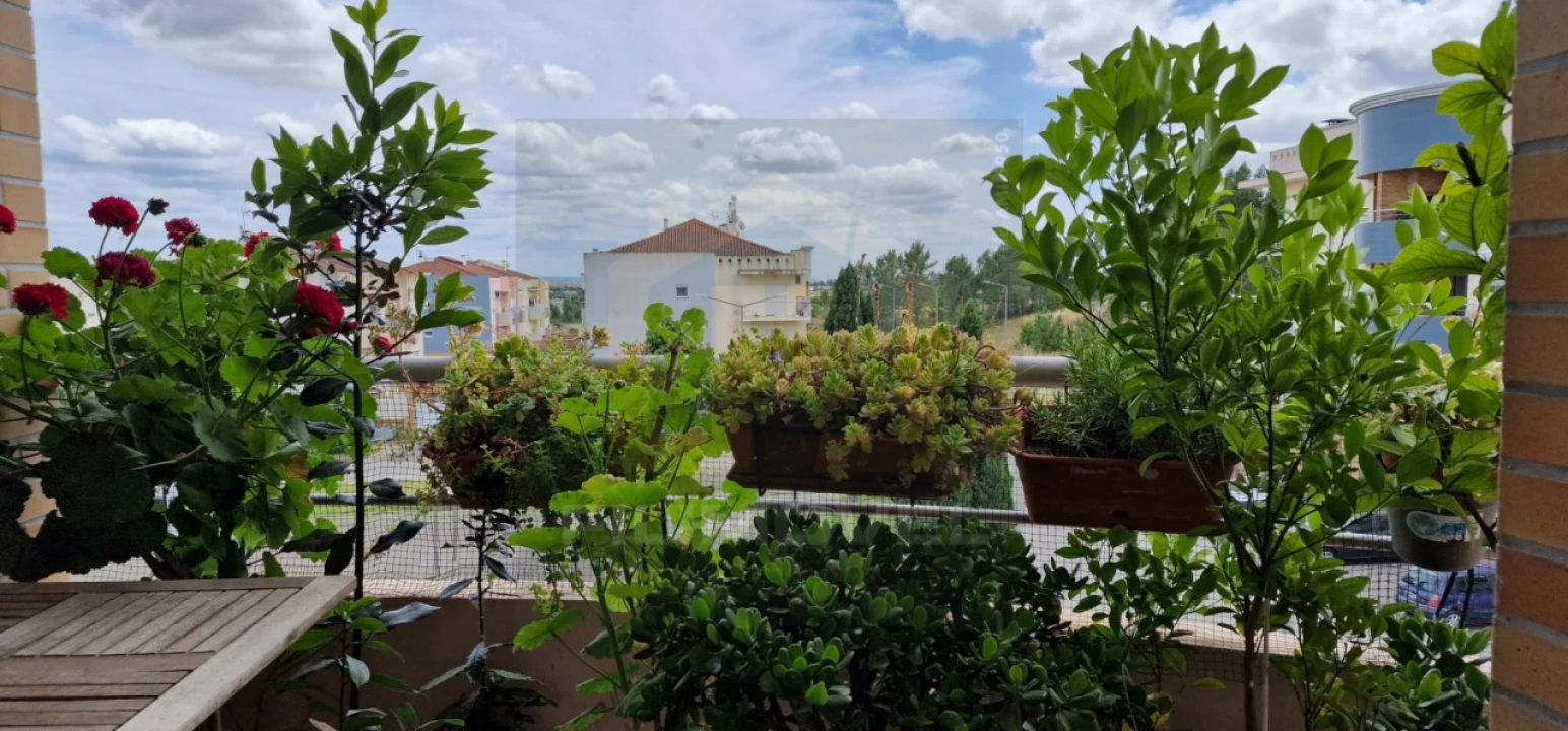 Apartamento T3 para Venda em Riachos Foto 1