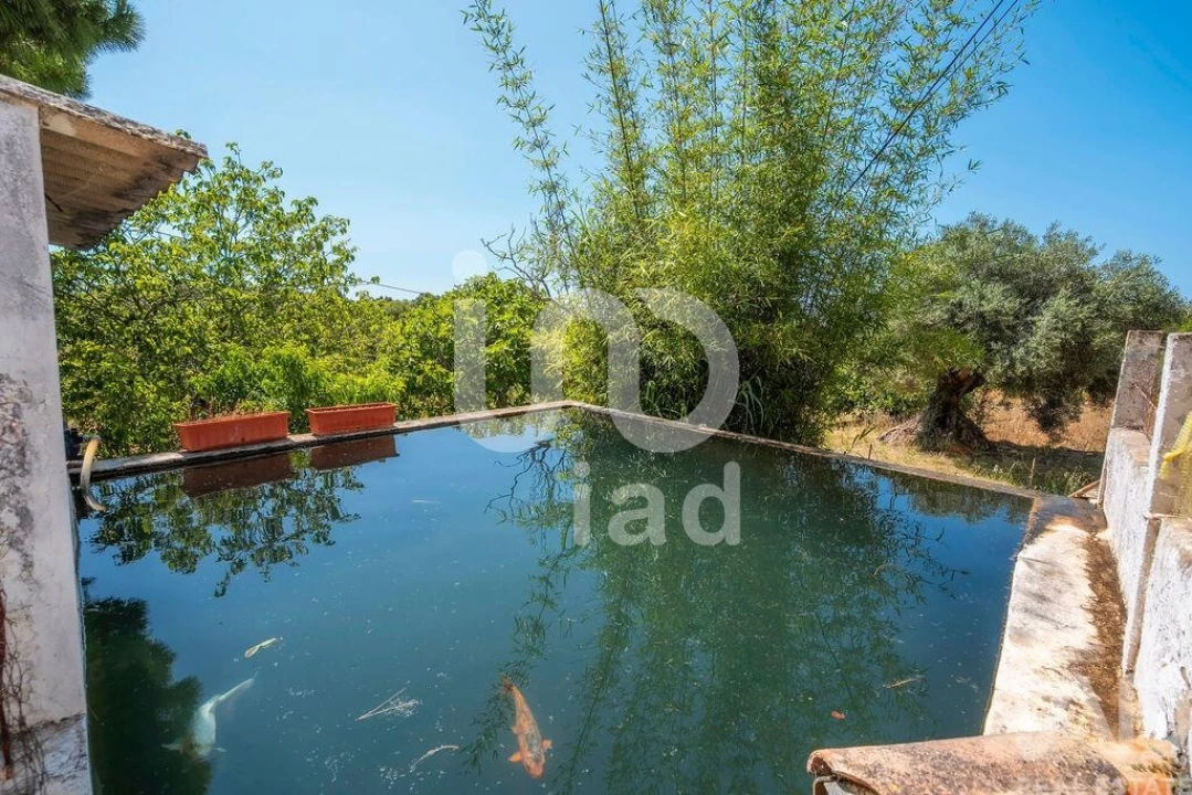 Moradia T4 para Venda em Olhão Foto 24