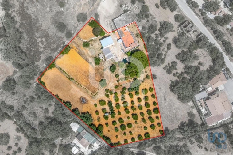 Moradia T4 para Venda em Olhão Foto 5