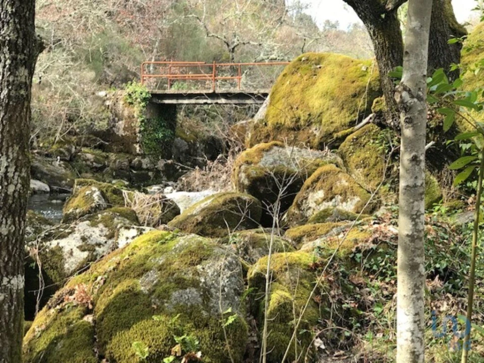Terreno para Venda em Parada de Gonta Foto 9