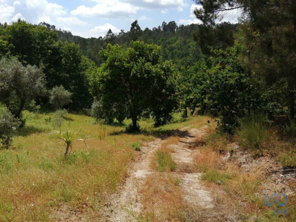 Terreno para Venda em Parada de Gonta Foto 11