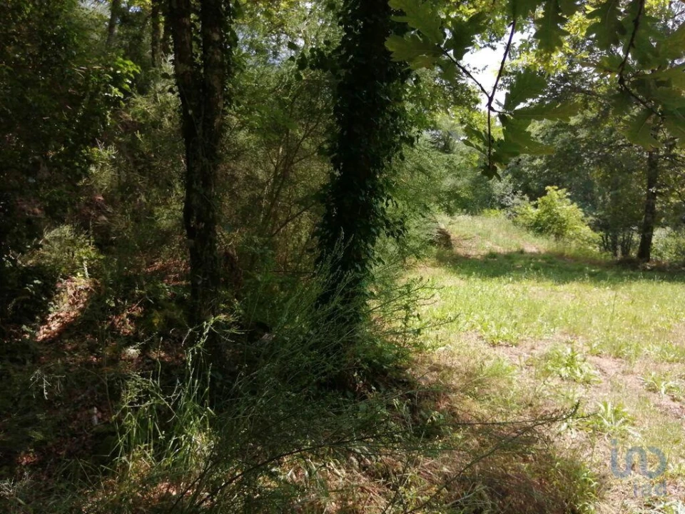 Terreno para Venda em Parada de Gonta Foto 12