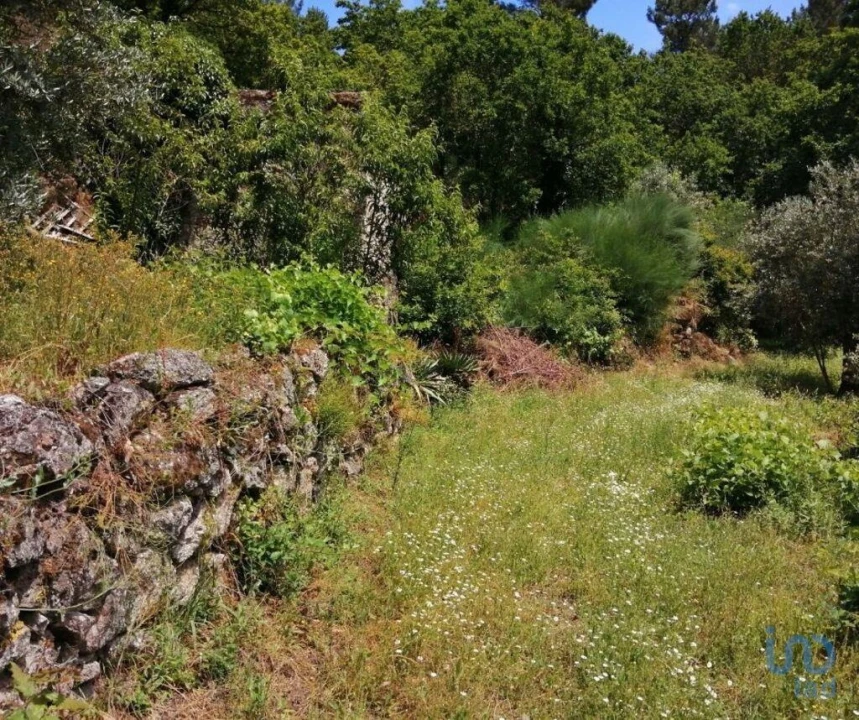 Terreno para Venda em Parada de Gonta Foto 6