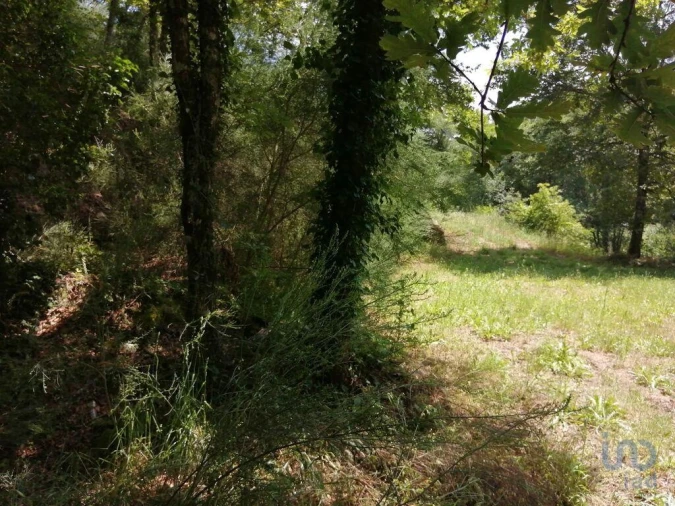 Terreno para Venda em Parada de Gonta Foto 12