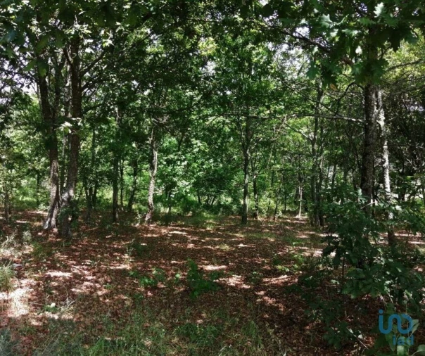 Terreno para Venda em Parada de Gonta Foto 4