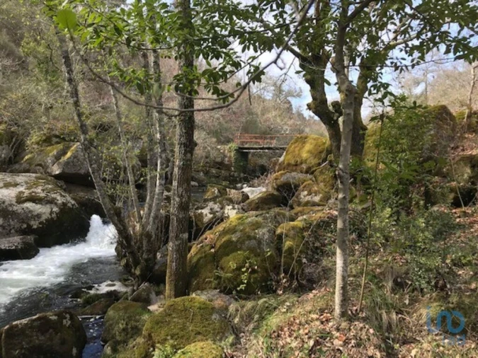 Terreno para Venda em Parada de Gonta Foto 10