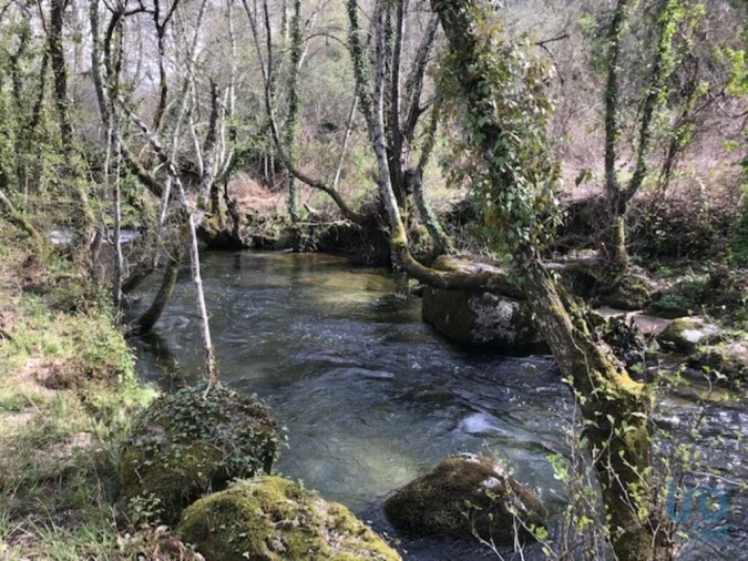 Terreno para Venda em Parada de Gonta Foto 2