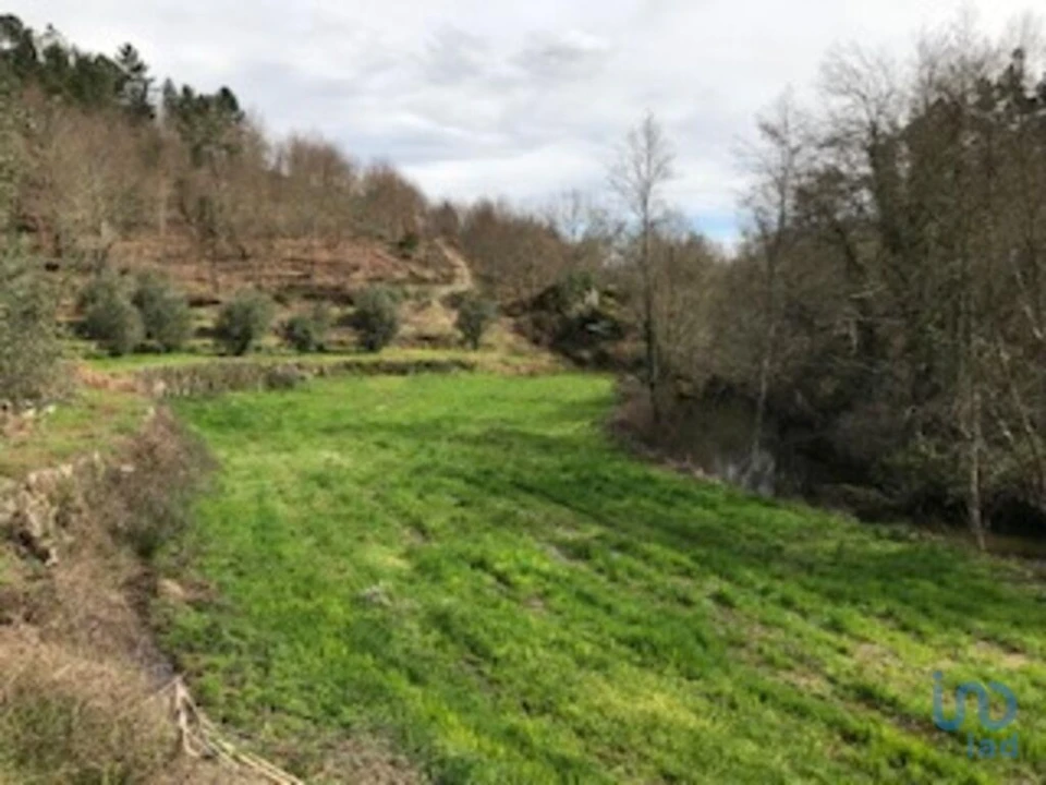 Terreno para Venda em Parada de Gonta Foto 3