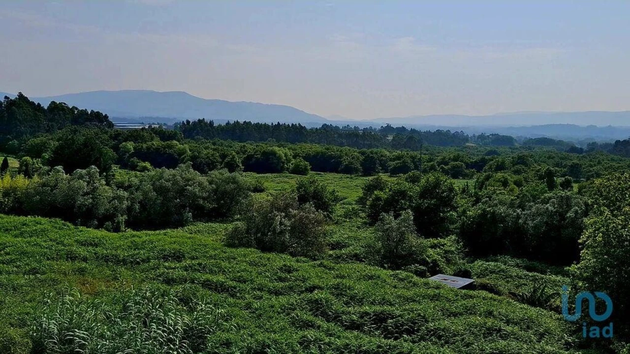 Moradia T3 para Venda em Gandra e Taião Foto 9