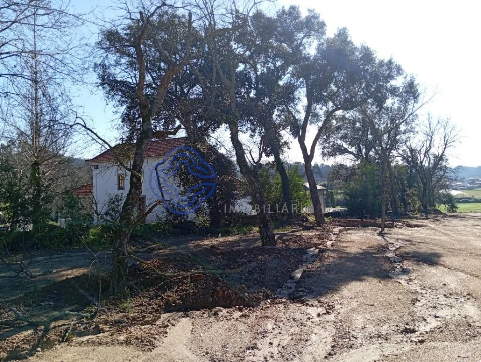 Terreno para Venda em Ovar, São João, Arada e São Vicente de Pereira Jusã Foto 16