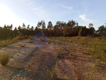 Terreno para Venda em Ovar, São João, Arada e São Vicente de Pereira Jusã