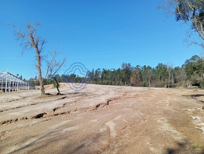 Terreno para Venda em Ovar, São João, Arada e São Vicente de Pereira Jusã Foto 7