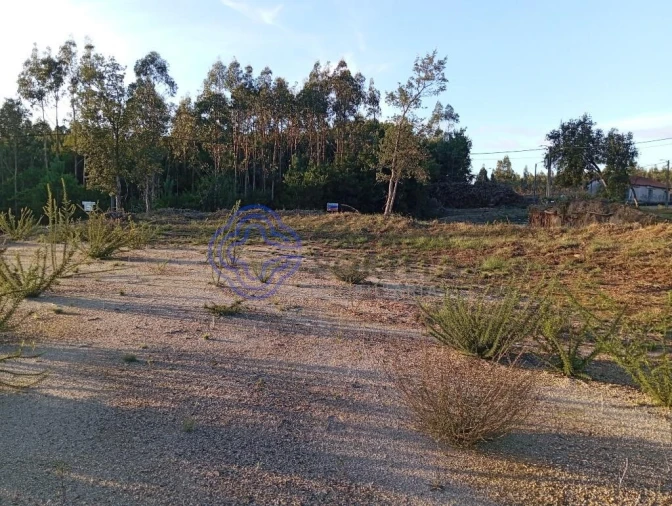 Terreno para Venda em Ovar, São João, Arada e São Vicente de Pereira Jusã Foto 5