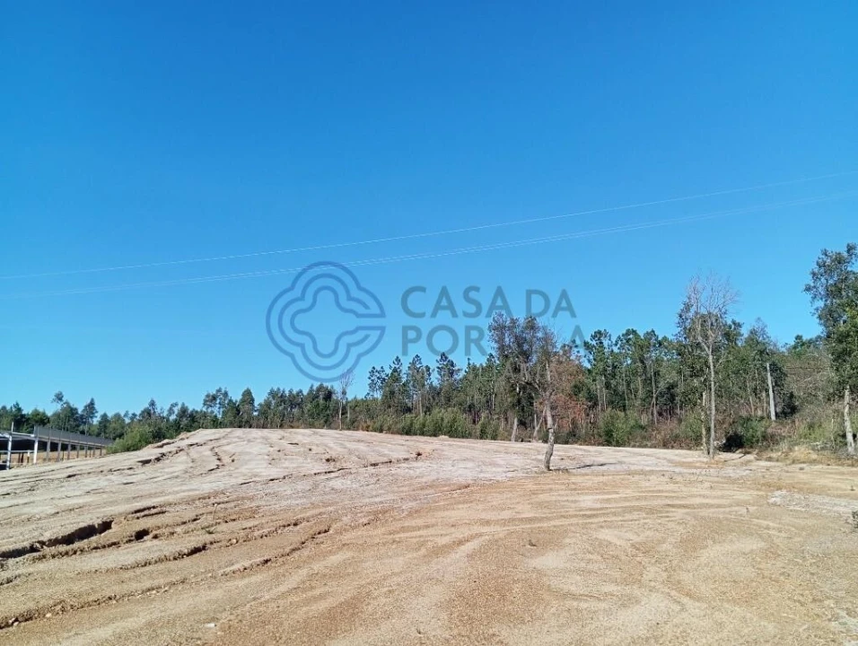 Terreno para Venda em Ovar, São João, Arada e São Vicente de Pereira Jusã Foto 8