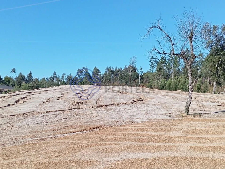 Terreno para Venda em Ovar, São João, Arada e São Vicente de Pereira Jusã Foto 13