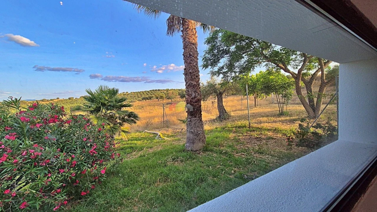 Quinta T5 para Venda em Safara e Santo Aleixo da Restauração Foto 35