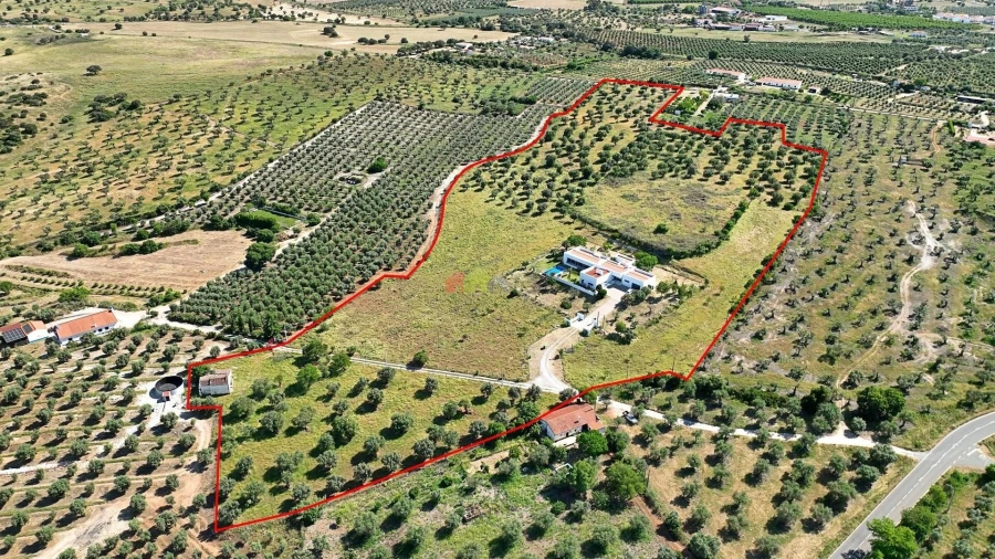 Quinta T5 para Venda em Safara e Santo Aleixo da Restauração Foto 62