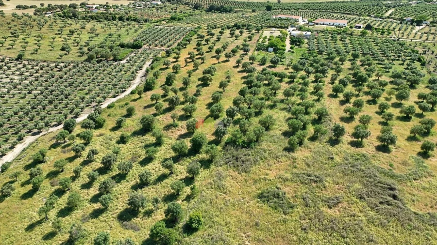 Quinta T5 para Venda em Safara e Santo Aleixo da Restauração Foto 63