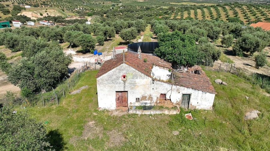 Quinta T5 para Venda em Safara e Santo Aleixo da Restauração Foto 61