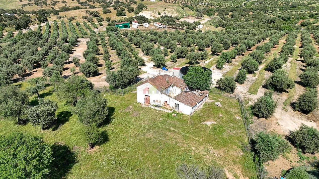 Quinta T5 para Venda em Safara e Santo Aleixo da Restauração Foto 60